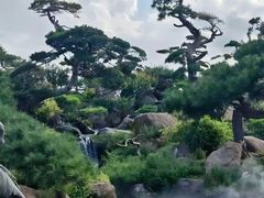 -罗红摄影艺术馆