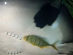-常州海昌海洋探索馆