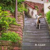 重庆旅行19—马鞍山社区