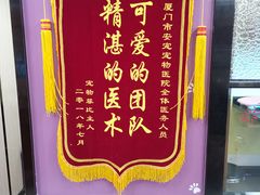 -安安宠医宠物医院·异宠·犬猫内科(岳阳分院)