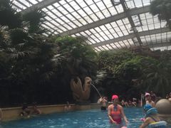 泳池-龙达温泉生态城