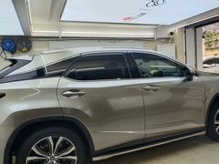 -美国龙膜官方授权店(龙冠罗湖店)
