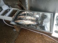 -岳各庄批发市场(西四环中路店)