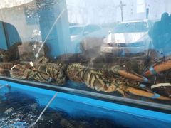 -港畔赶海蒸汽海鲜烧烤自助(仙螺岛店)