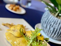 白切鸡-新加坡泰国村酒楼(五角场店)