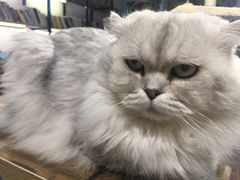 -小时光咖啡馆(开森度假森林店)