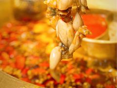 -哥老官重庆美蛙鱼头(龙湖杭州金沙天街店)
