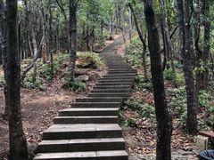 -梧桐山风景名胜区