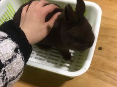 -藦茜花园宠物主题亲子互动体验馆(国顺东路店)