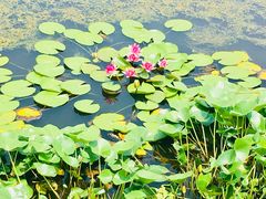 -处女泉风景名胜区
