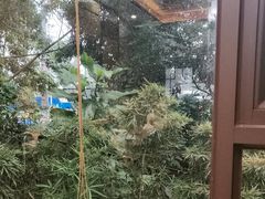 -大门水乡·顺德菜