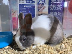 -上海三联书店READWAY(华中首店)