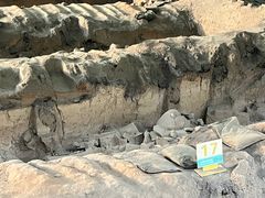 -秦始皇帝陵博物院(兵马俑)