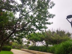-羊山湖公园