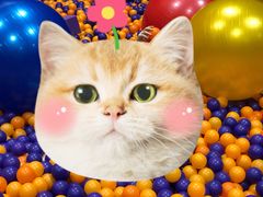 -Tenker Club弹刻极限主题公园 · 蹦床 · 团建 · 生日派对(大关店)