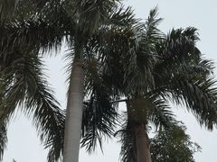 -广州市白云山风景名胜区