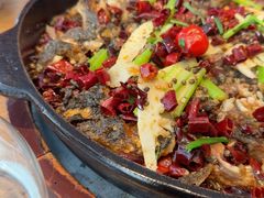 -老板恋上鱼(恒隆广场店)