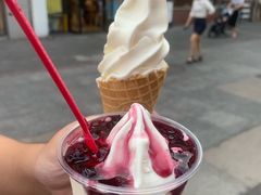 -蜜雪冰城(托乐嘉店)
