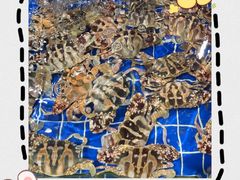 -鸿港海鲜批发市场