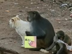 -昆明动物园
