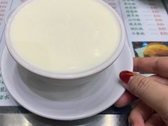 姜撞奶-义顺牛奶公司(新马路老店)