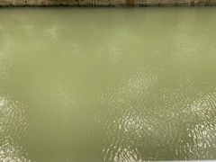 -后襄河公园
