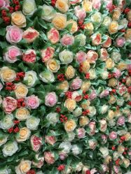 -变美丽半永久纹眉连锁·机器野生眉•洗眉