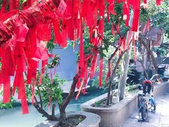 -小洲村