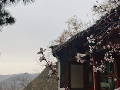 -北京鹫峰国家森林公园