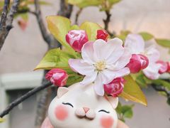 -创艺无限·赵春香微妙艺术馆