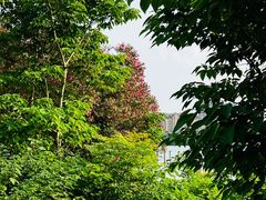 -艾溪湖湿地公园