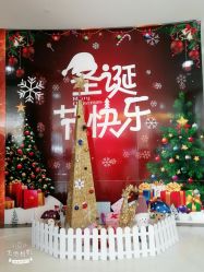 -宝生月子中心(独栋园林·福田店)