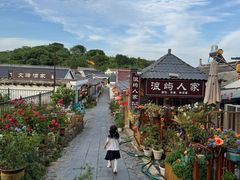 -巢湖姥山岛