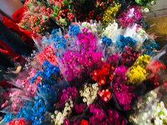 -越秀西湖花市(广州城市广场花卉店)