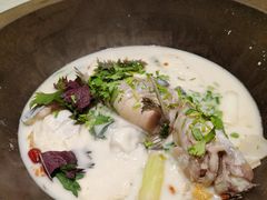 鲜潭蒸汽石锅江团鱼-鲜潭蒸汽石锅鱼(五道口购物中心店)
