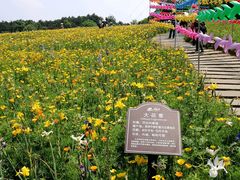 -保利石象湖景区