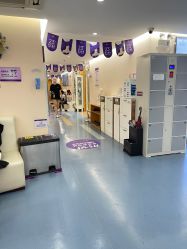 -深圳美莱医疗美容医院