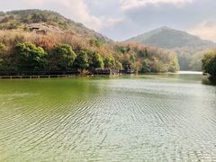 -白马涧龙池景区