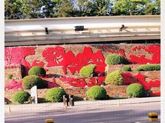-西安曲江寒窑遗址公园