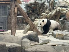 -武汉动物园