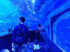 -成都浩海立方海洋公园