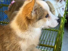 -济南高新万达广场