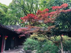 -天一阁博物院