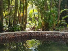 -三亚珠江南田温泉度假区