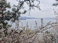 -棋盘山风景区