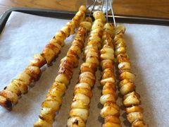 -鼎原力量东北吊炉烧烤(临河街店)