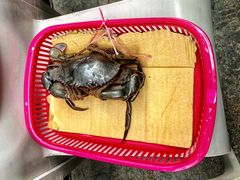 -龙海鲜螃蟹王(宏茂桥店)