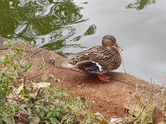 -海南热带野生动植物园