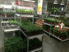 -宜家家居(哈尔滨商场店)