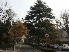 android_upload_pic-八大关景区